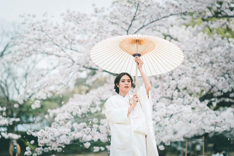 桜で白無垢の写真