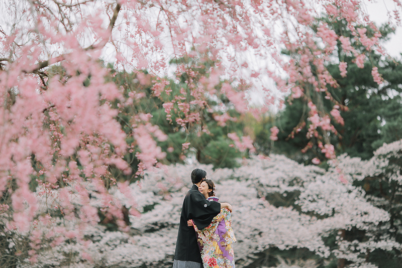 東京 昭和記念公園 桜 和装前撮り
