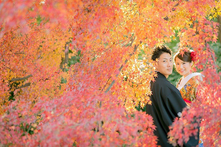 京都自然公園の紅葉