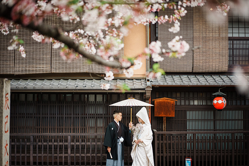 京都 桜 前撮り フォトウェディング