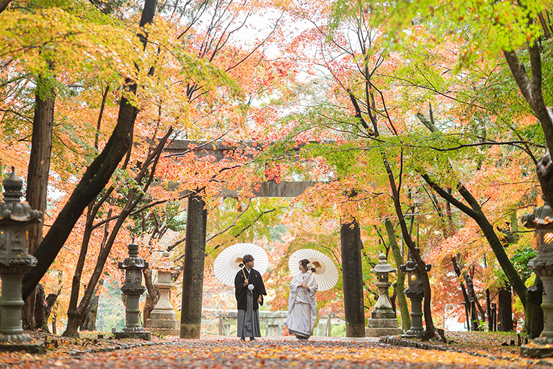 京都で紅葉前撮り