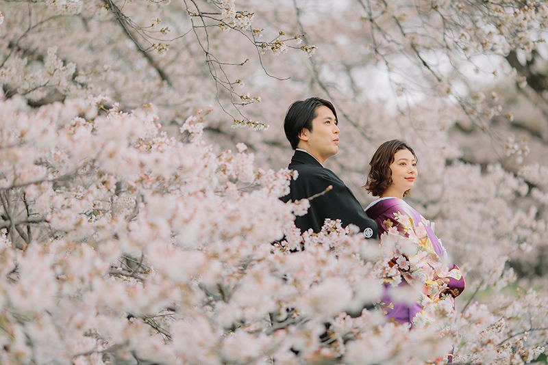 桜の結婚写真